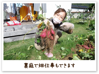 裏庭で畑仕事もできます