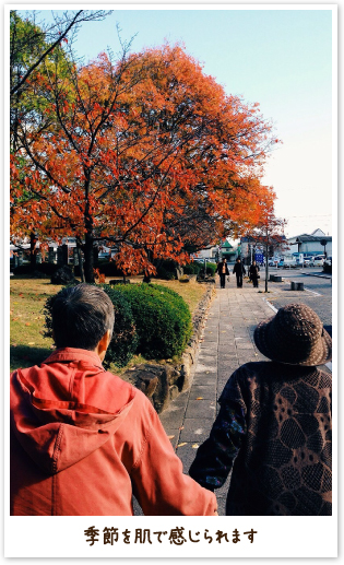 季節を肌で感じられます