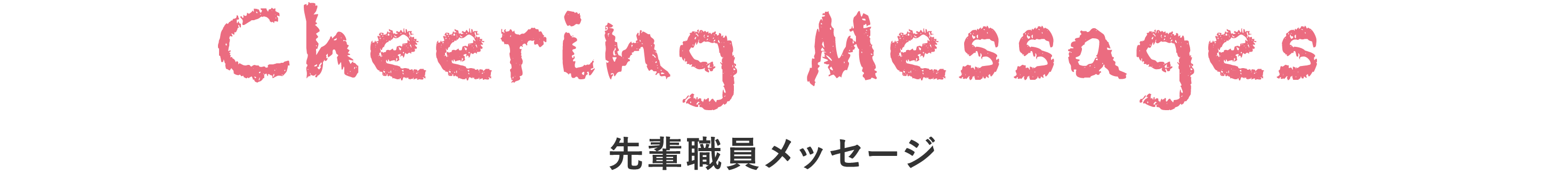 先輩職員メッセージ